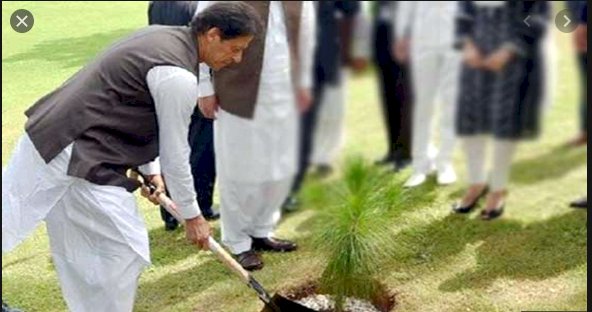 PM to kick off Monsoon Tree Plantation campaign Today