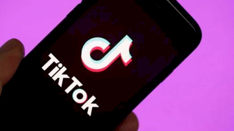 LHC Requested To Seek Ban On Tik Tok