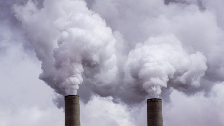 Carbon Emission Declines By 17%