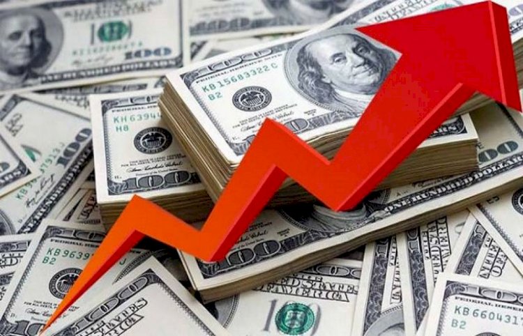 USD Reaches Historical Highs Against PKR.