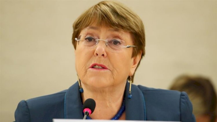 UN  Rights Chief Approaches Indian Supreme Court Against CAA 2019