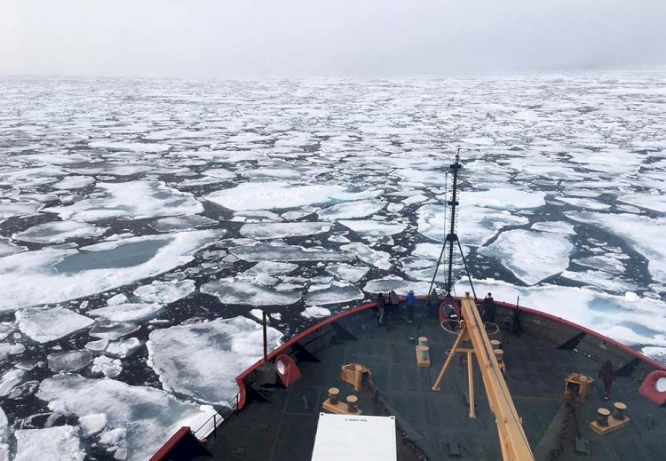 Heatwave Shrinks Arctic Sea Ice To Second Lowest Level