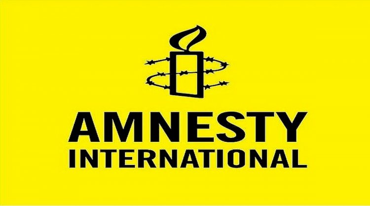 Amnesty International, Human Right Group Stopping Operations In India