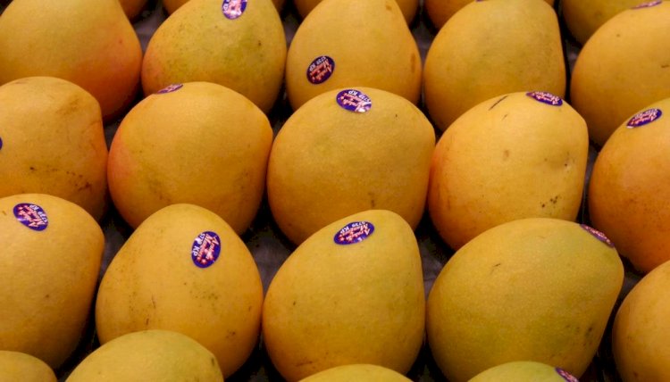 Prince Charles Praised Pakistani Mangoes