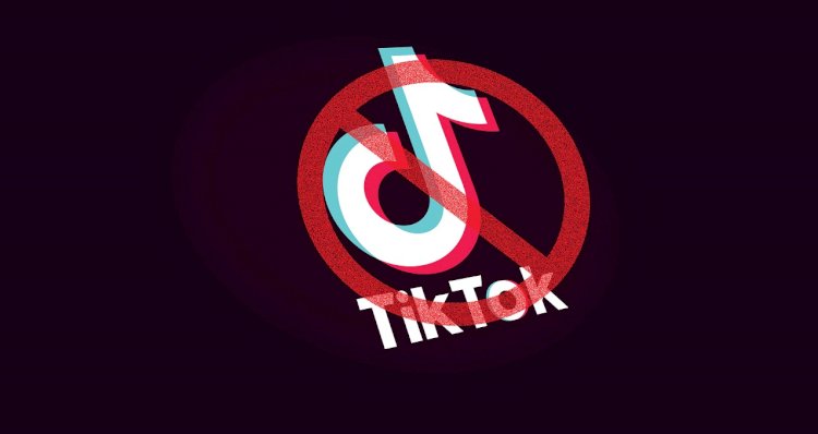 Is PTA & TikTok Collaborating For Resumption Of App's Services?