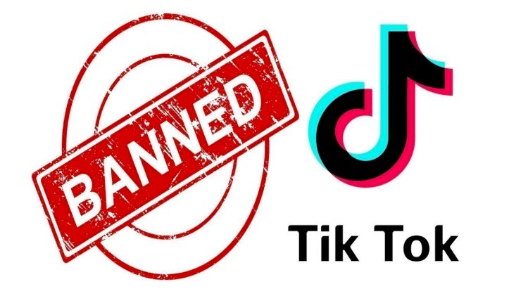 Indecent and Immoral Content made Government to ban Tiktok