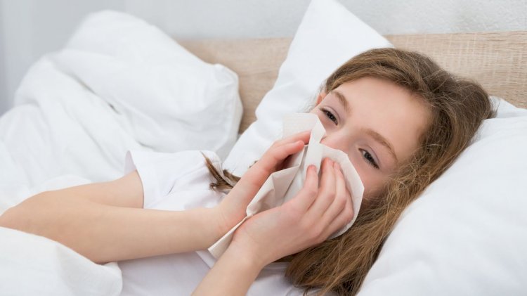 How to Protect Yourself From Getting Flu & Cold in 2024?