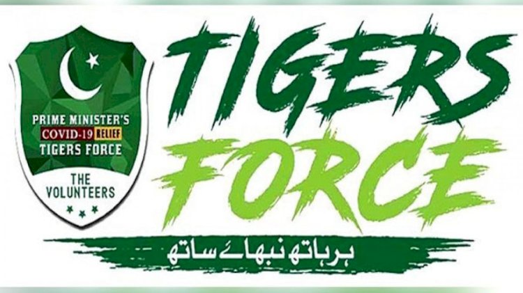 Tiger Force In Action Against Hoarding Mafia